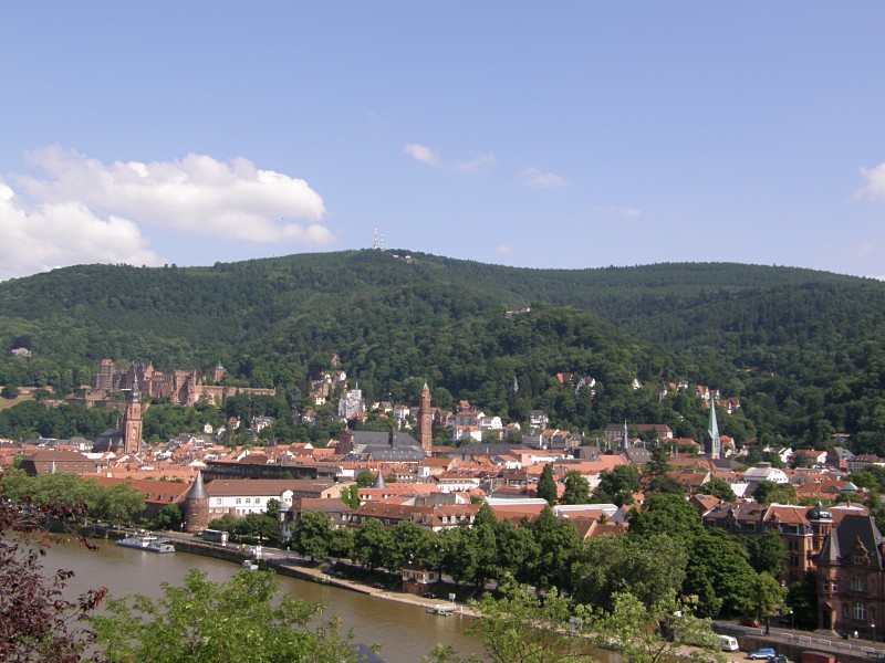 Die Heidelberger Altstadt